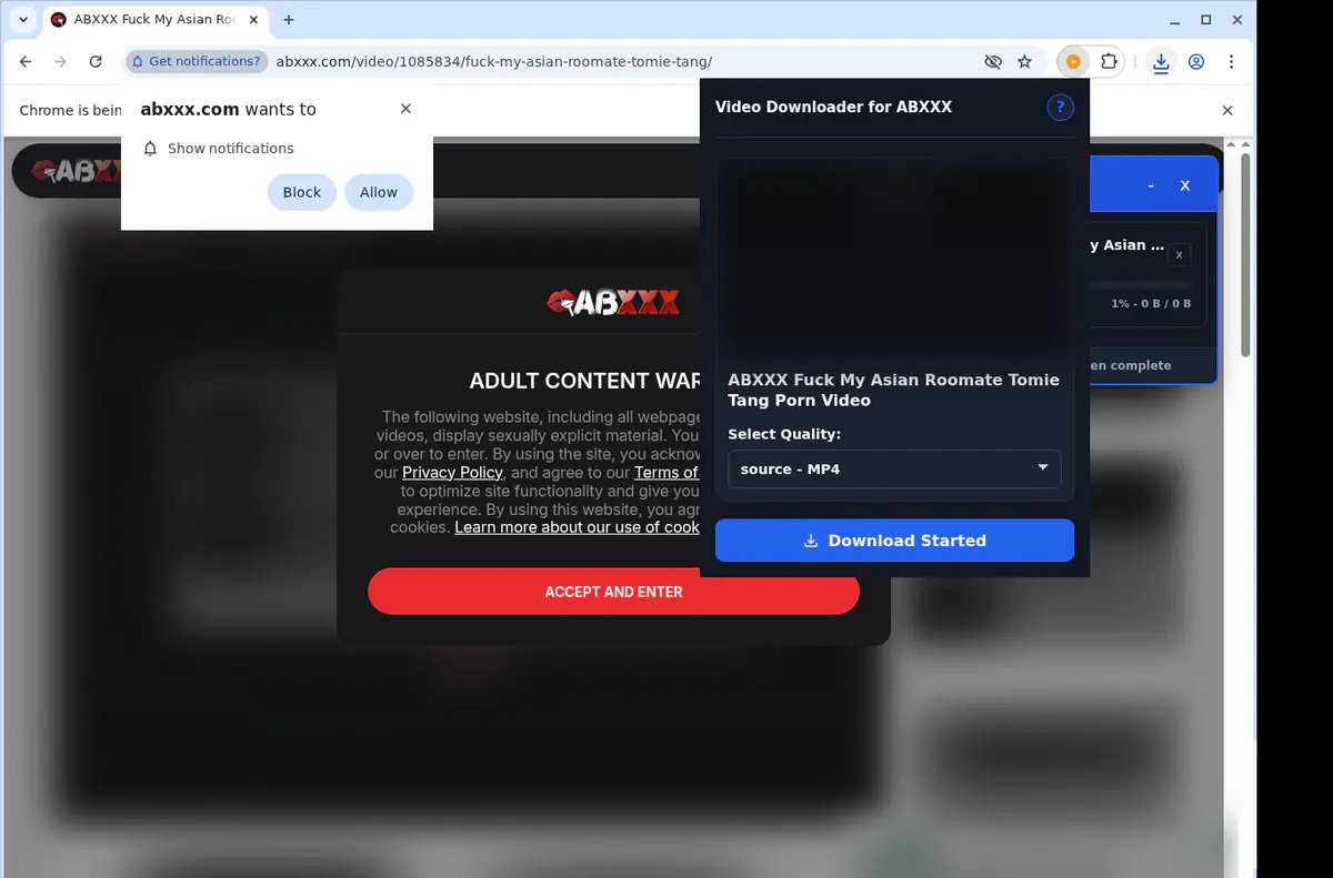 Abxxx Video Downloader browser extension screenshot 2