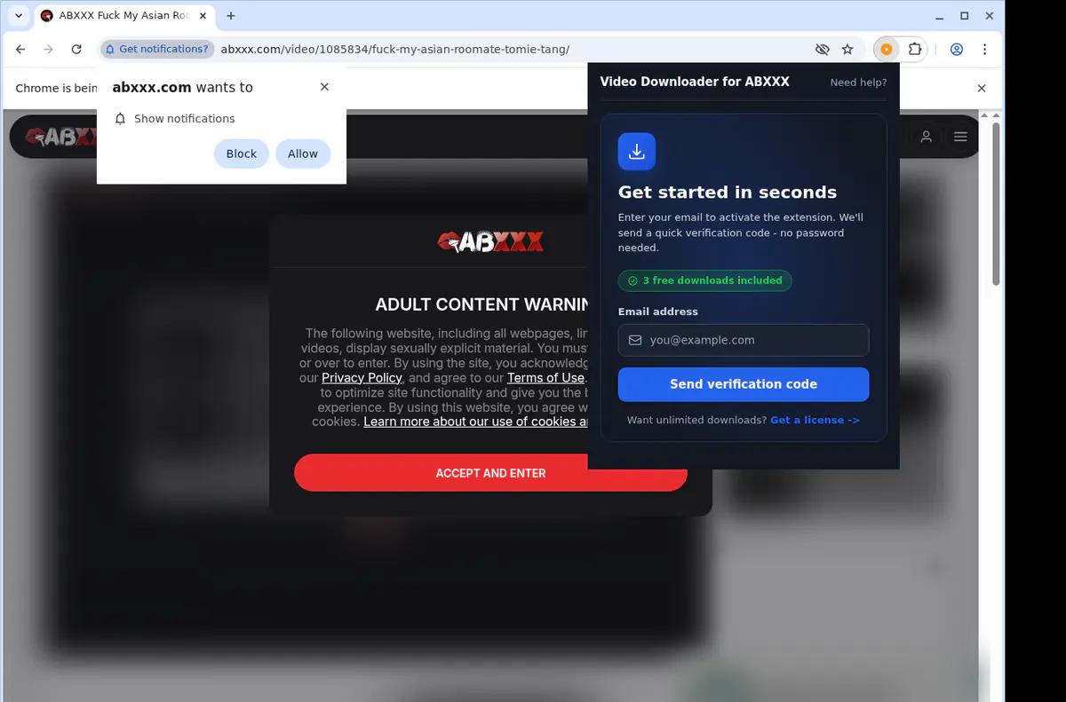 Abxxx Video Downloader browser extension screenshot 4