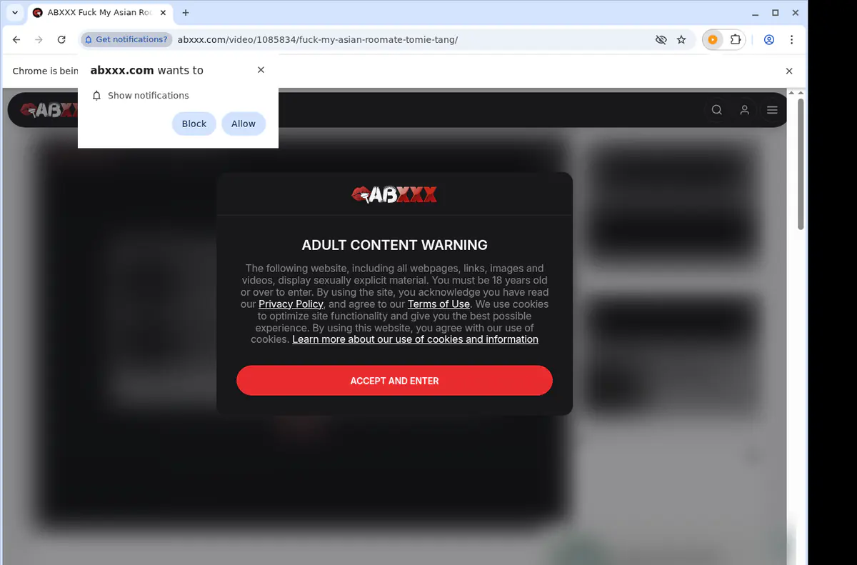 Abxxx Video Downloader browser extension screenshot 5
